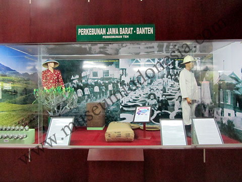 Baduga_Teh.jpg